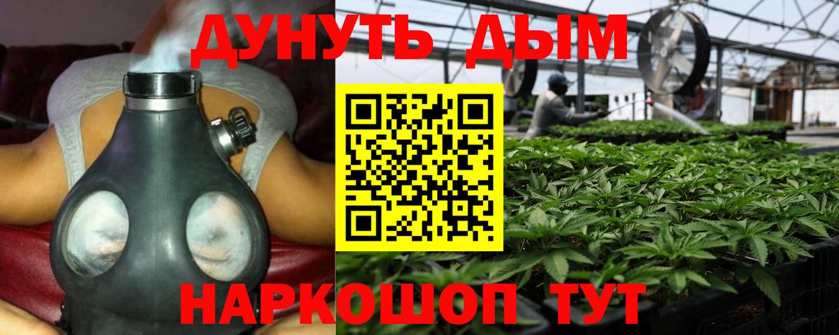 Бошки Шишки MAZAR Озёрск
